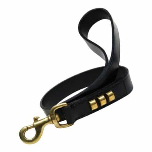 Dog Lead Gloria Duna 2