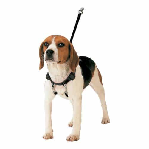 Dog Harness Gloria 40-60 cm Size L Dog Harness Gloria 40-60 cm Size L