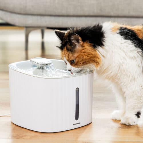 Pet Water Fountain Drinkatt InnovaGoods Pet Water Fountain Drinkatt InnovaGoods