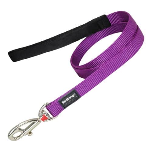 Dog Lead Red Dingo Purple (1