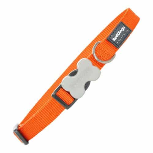 Dog collar Red Dingo Smooth Orange (2 Dog collar Red Dingo Smooth Orange (2