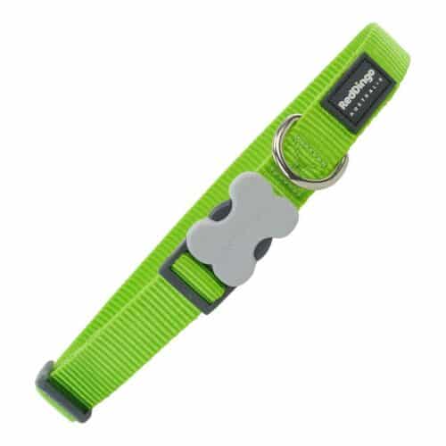 Dog collar Red Dingo Lime (1 Dog collar Red Dingo Lime (1