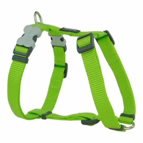 Dog Harness Red Dingo Smooth Lime Dog Harness Red Dingo Smooth Lime