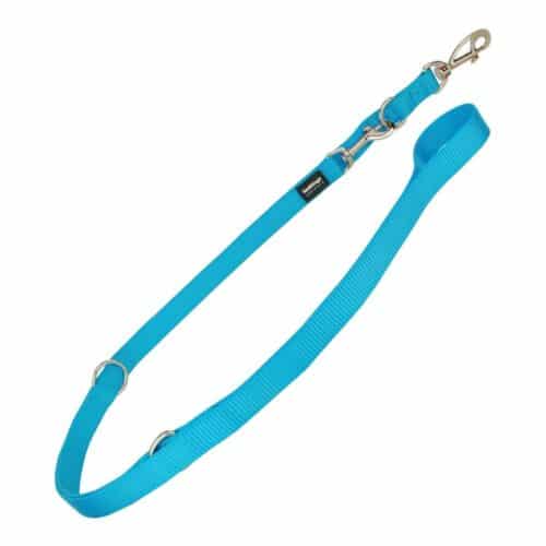 Dog Lead Red Dingo Turquoise (2