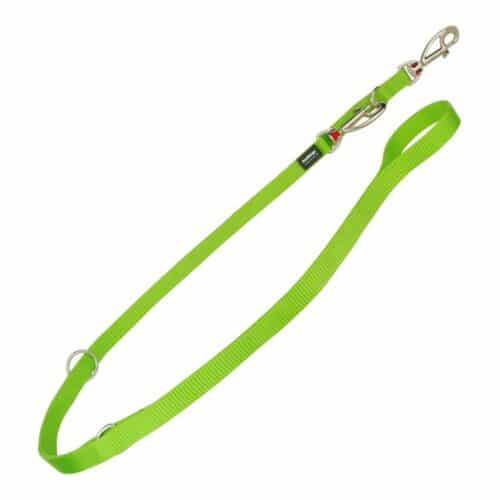 Dog Lead Red Dingo Lime (1
