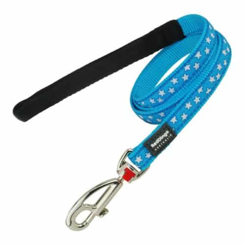 Dog Lead Red Dingo Turquoise (1