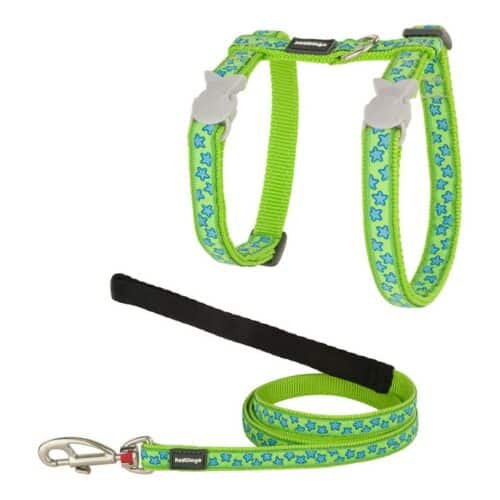 Cat Harness Red Dingo Style Turquoise Star Strap Cat Harness Red Dingo Style Turquoise Star Strap