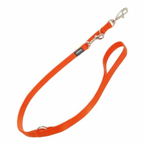Dog Lead Red Dingo Orange (1