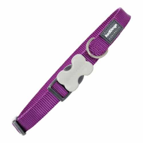 Dog collar Red Dingo Smooth Purple (1 Dog collar Red Dingo Smooth Purple (1