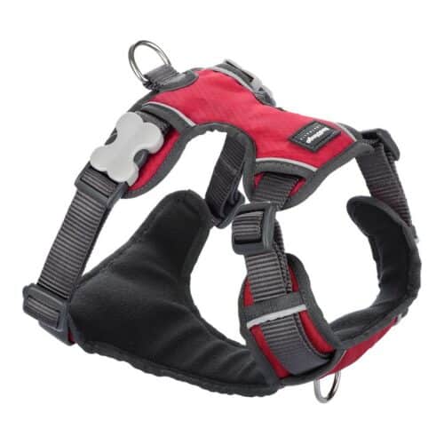 Dog Harness Red Dingo Padded Red Size L Dog Harness Red Dingo Padded Red Size L