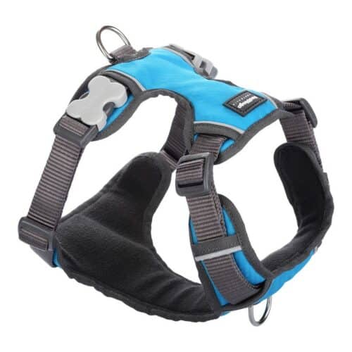 Dog Harness Red Dingo Padded Turquoise Size S Dog Harness Red Dingo Padded Turquoise Size S