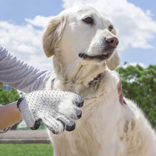 Pet carrier Ferplast Superior 105 73 x 77 x 107 cm