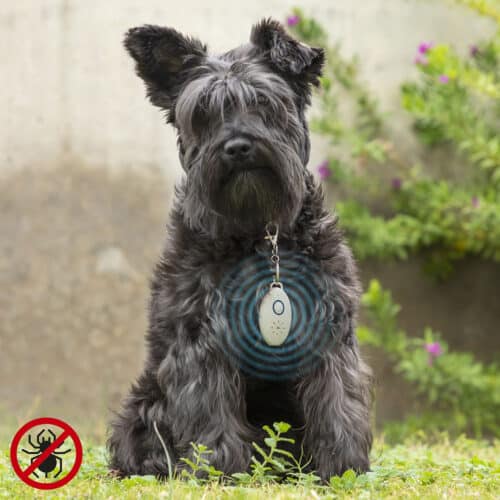 Rechargeable Ultrasound Parasite Repellent for Pets PetRep InnovaGoods Rechargeable Ultrasound Parasite Repellent for Pets PetRep InnovaGoods