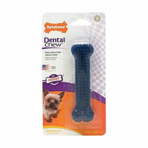 Dog toy Nylabone Small Blue Natural Chicken Thermoplastic XS size Dog toy Nylabone Small Blue Natural Chicken Thermoplastic XS size