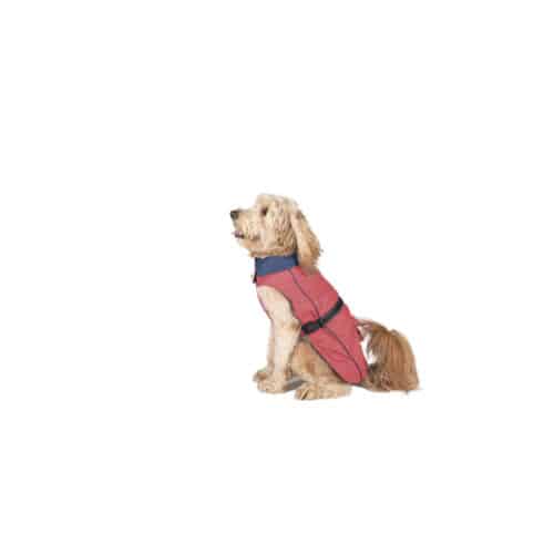 Dog raincoat Dog Gone Smart Coral 45 cm Dog raincoat Dog Gone Smart Coral 45 cm