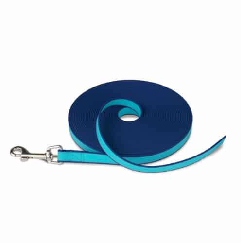 Training lead Coachi Blue Training Training lead Coachi Blue Training