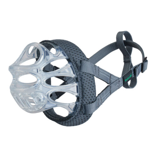 Muzzle Company of Animals Transparent 6