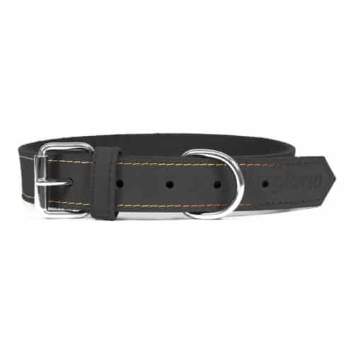 Dog collar Gloria Oasis Black (55 x 2 Dog collar Gloria Oasis Black (55 x 2