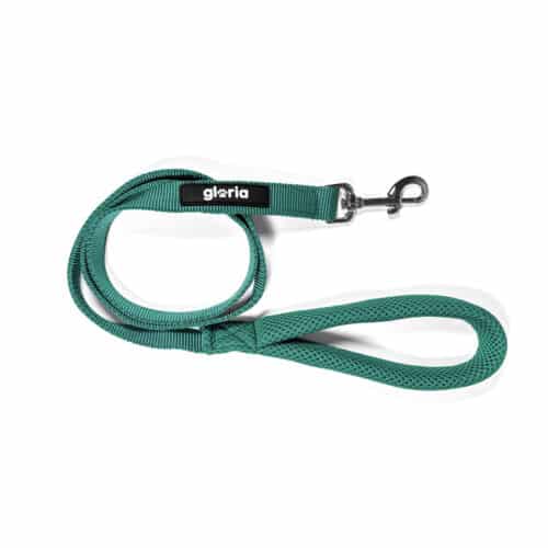 Dog Lead Gloria Turquoise S Dog Lead Gloria Turquoise S