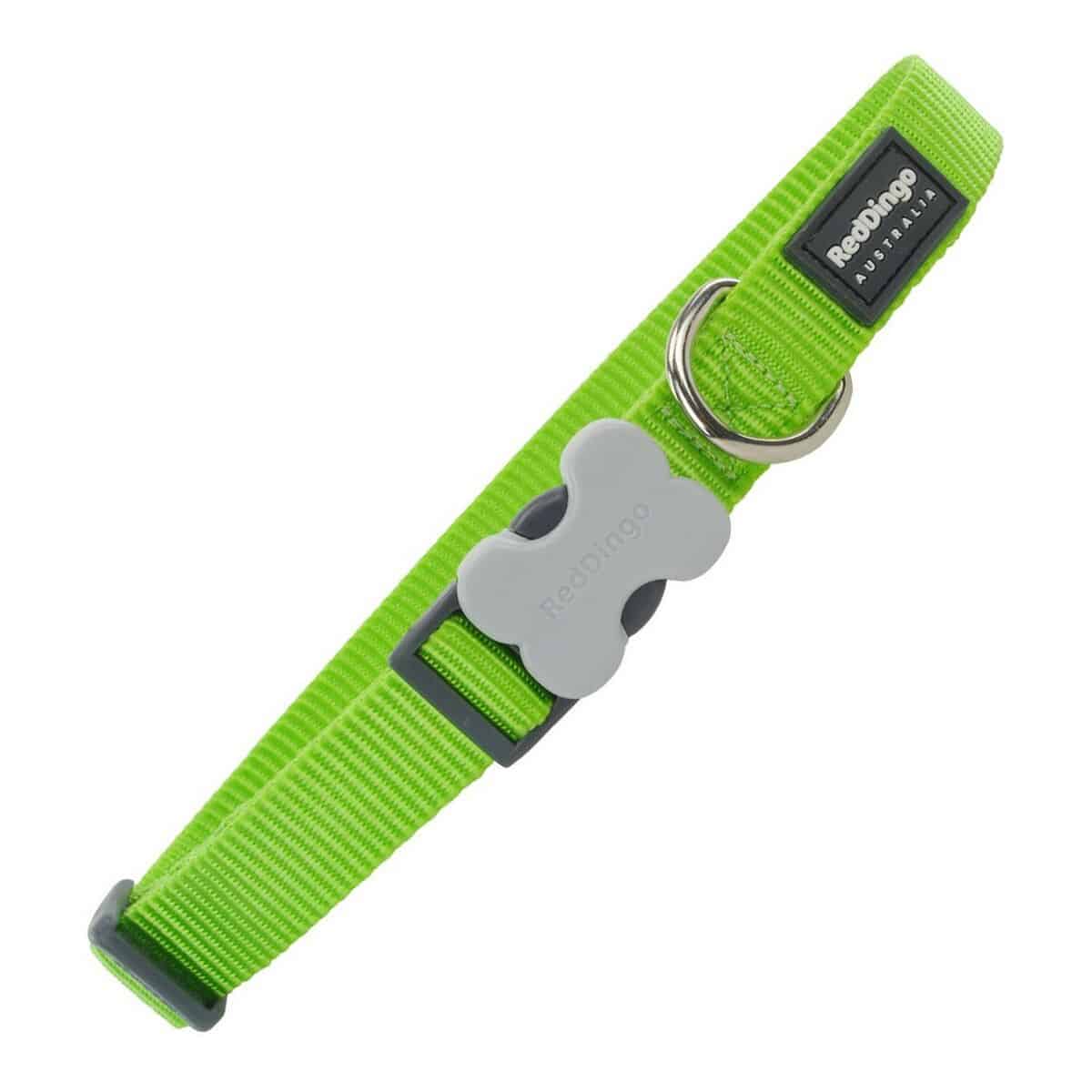 Dog collar Red Dingo Lime (1