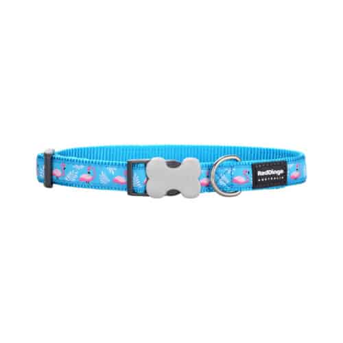 Dog collar Red Dingo STYLE FLAMINGO Turquoise 31-47 cm Dog collar Red Dingo STYLE FLAMINGO Turquoise 31-47 cm