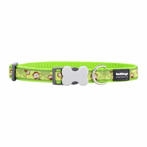Dog collar Red Dingo STYLE MONKEY LIME GREEN 41-63 cm Dog collar Red Dingo STYLE MONKEY LIME GREEN 41-63 cm